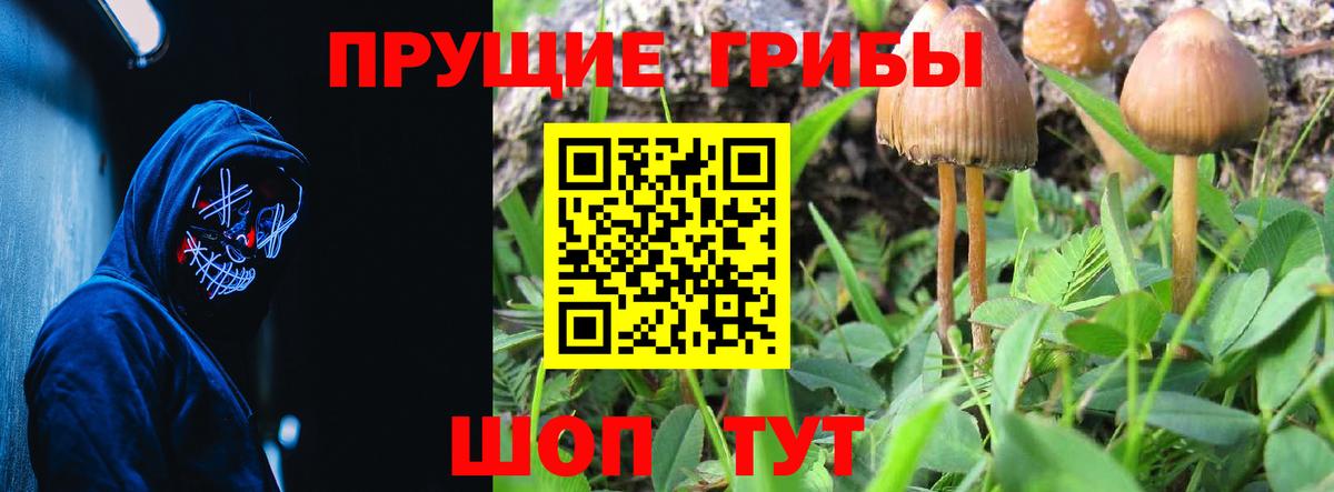 Галлюциногенные грибы Psilocybine cubensis  Галлюциногенные грибы прущие грибы  купить   Саянск  Вход с VPN 